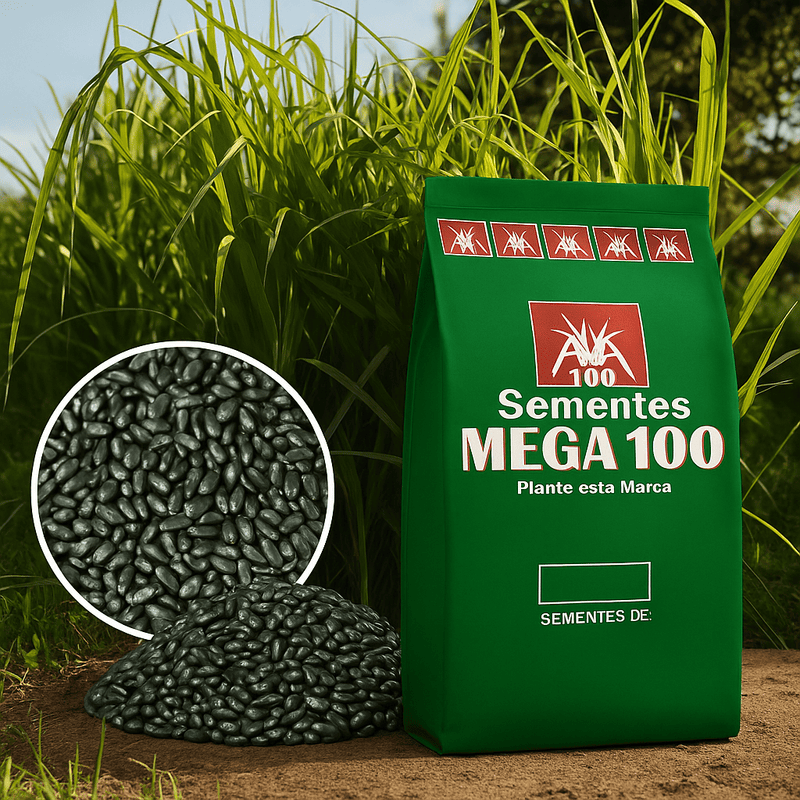 Imagem Semente MOMBAÇA